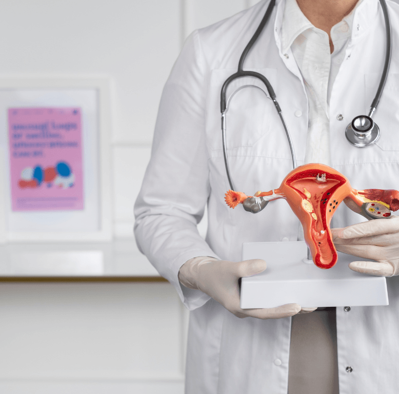 A doctor in a lab coat with a stethoscope around their neck, holding a 3D diagram model of the female reproductive system to highlight PMOS